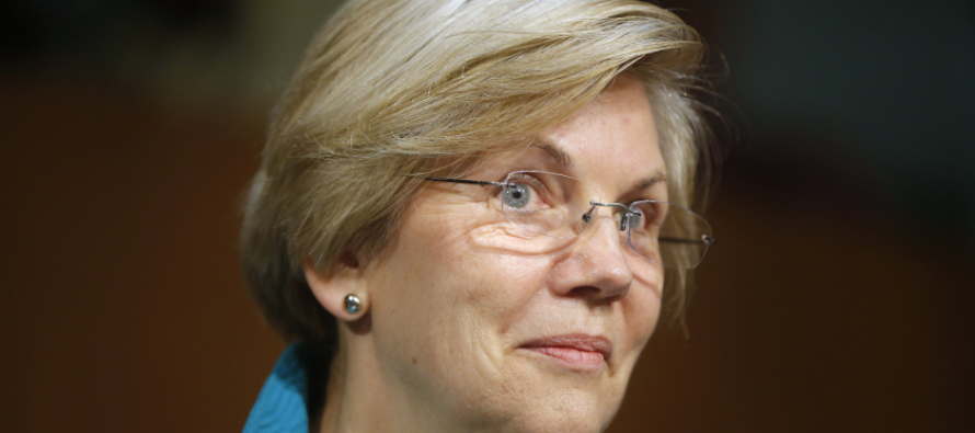 Elizabeth Warren, başkanlık için kararını açıkladı