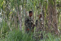 Askerler ile isyancılar mayınlar için birlikte çalışıyor
