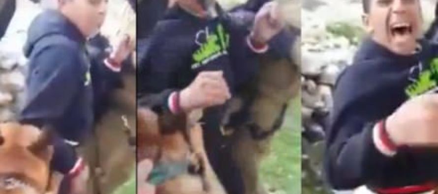 Filistinli çocuğa köpekli işkenceye tepki