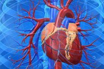 Vücudumuzdaki saatli bomba: Aort damarı