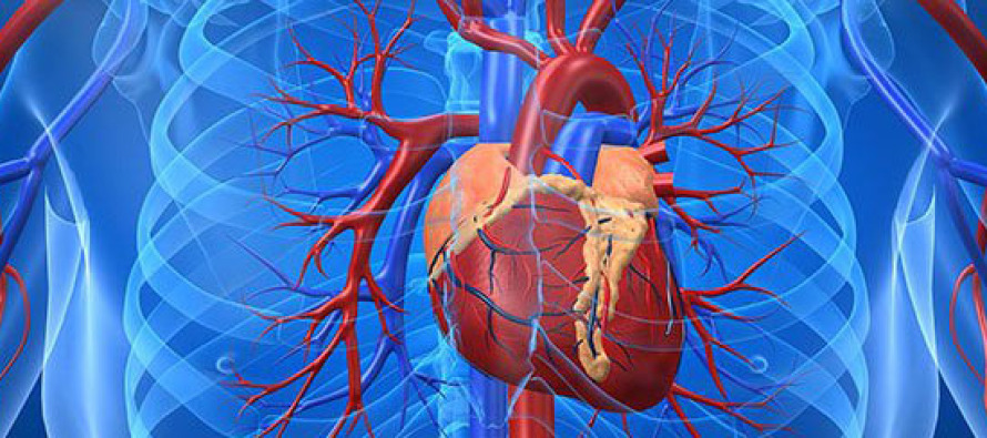 Vücudumuzdaki saatli bomba: Aort damarı