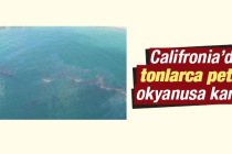 California’da ‘acil durum’ ilan edildi