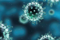 200’den fazla virüs, sağlığı tehdit ediyor!