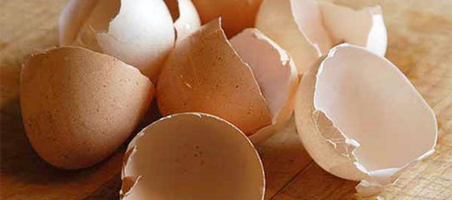 Kireçlenmede en doğal çözüm: Yumurta kabuğu zarı