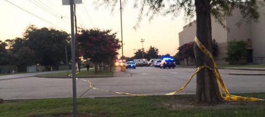 Louisiana’da sinema salonuna silahlı saldırı; üç ölü