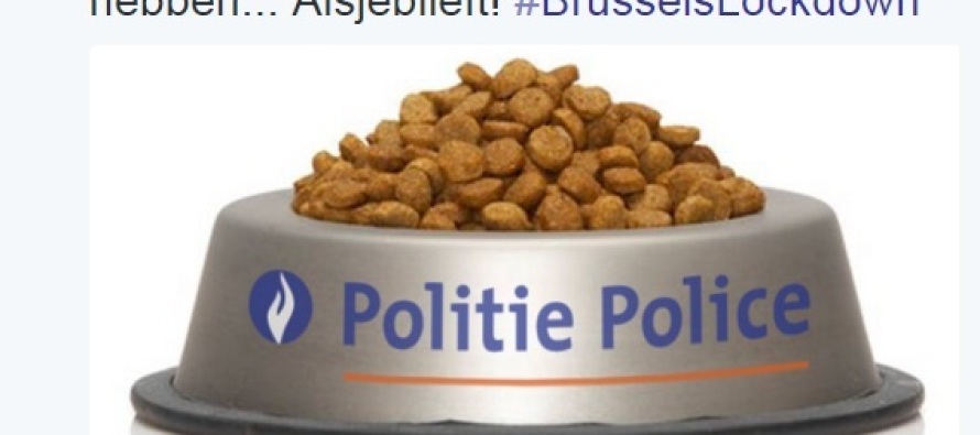 Belçika polisinden kedi maması jesti
