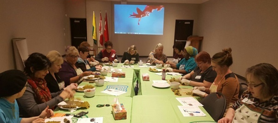 Kültürlerarası Dialog Vakfı Regina’da yaprak sarma dersi