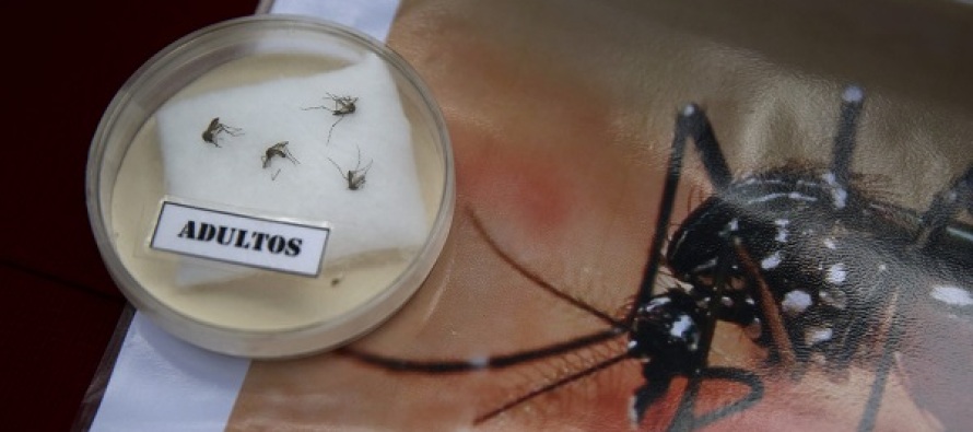 Zika virüsü için ‘küresel acil durum’ ilan edildi