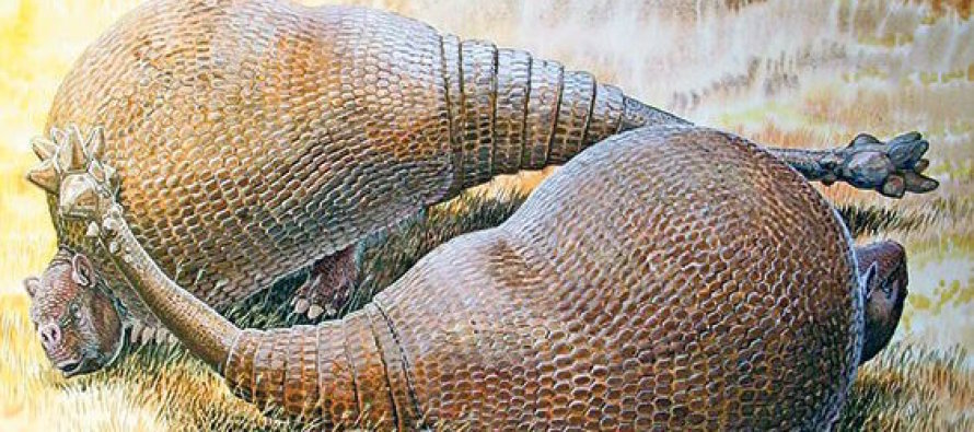 Dev fosil, armadilloların akrabası çıktı