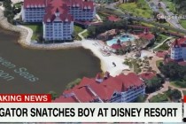 Disney Hotel’in gölünde bebeği timsah kaptı