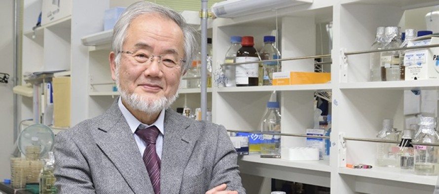 Nobel Tıp Ödülü Japon bilim insanının