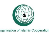 İslam İşbirliği Teşkilatı (İİT) Hizmet’i terör örgütü sayan bir karar almayı reddetti