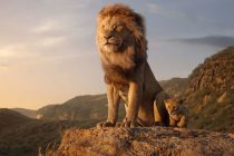 ‘Aslan Kral’, gelişmiş film teknikleri kullanılarak yeniden beyazperdeye taşındı