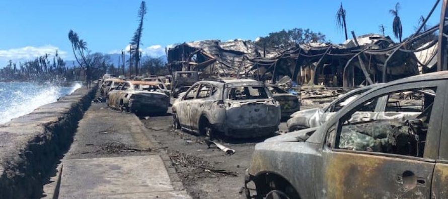 Hawaii’deki yangınlarda ölü sayısı 93’e yükseldi