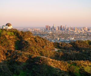 Los Angeles, sakinlerden şehrin parklarının geleceği hakkında yardım istedi