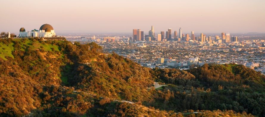 Los Angeles, sakinlerden şehrin parklarının geleceği hakkında yardım istedi